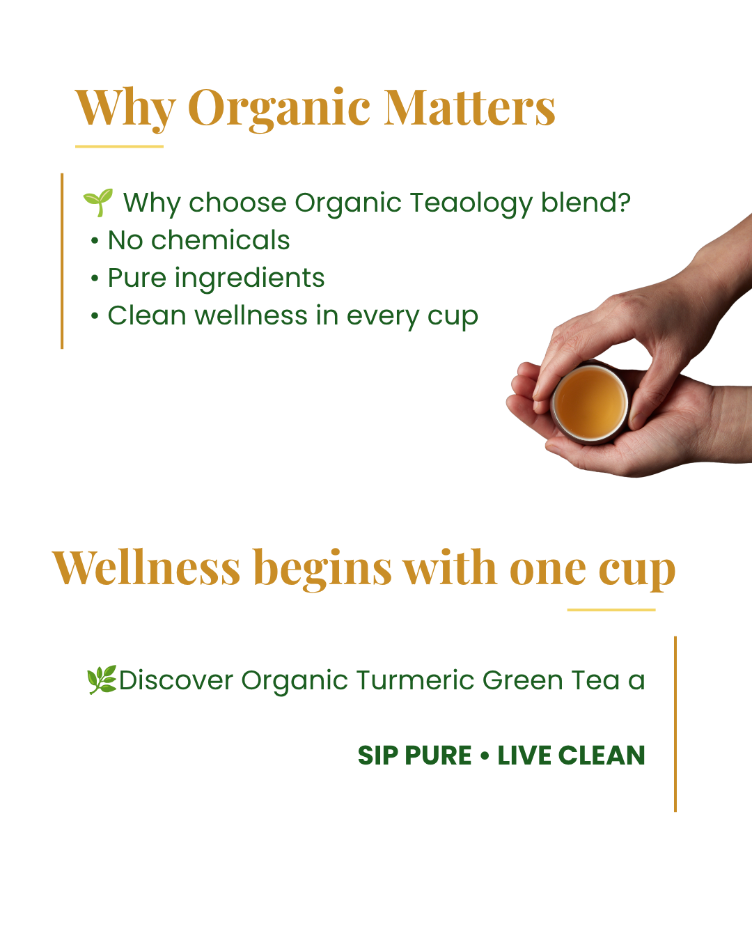 Organic Turmeric tea