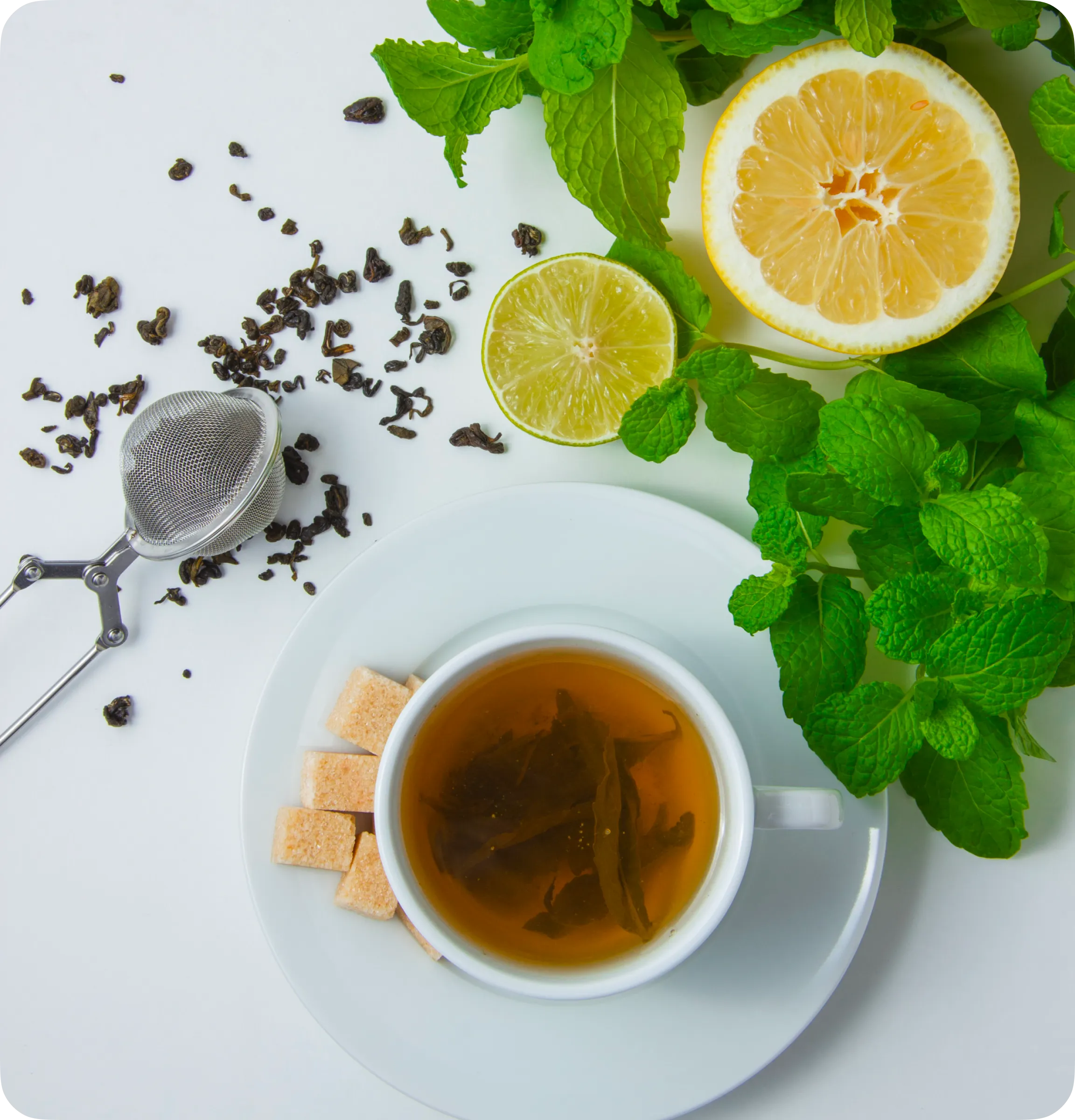 Premium Organic Tea – Teaology Dubai UAE