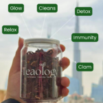 Refreshing iced hibiscus tea for summer hydration in Dubai UAE